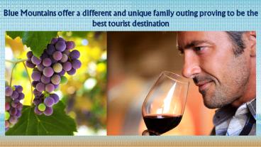 Blue Mountains tour with family in North Shore Sydney