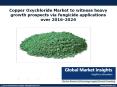 Copper Oxychloride Market report for 2017-2024 – companies, applications, products and more PowerPoint PPT Presentation