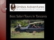 Best Safari Tours In Tanzania