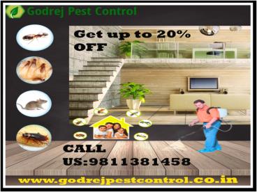 Creditable Pest Control South Delhi | Get 20% OFF
