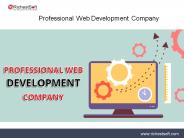 RichestSoft professional web development company