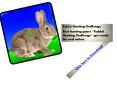 Rabbit Hunting Challenge PowerPoint PPT Presentation