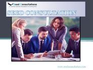 Business Management Consulting Firms | Seed Consultation