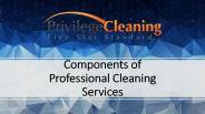 Components of Professional Cleaning Services