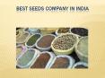 best seeds company in india  10 oct  17 PowerPoint PPT Presentation