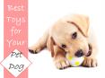 Best Toys for Your Pet Dog PowerPoint PPT Presentation