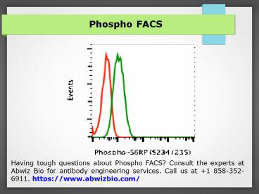 Rabbit monoclonal antibodies