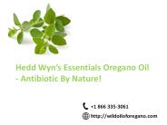 WildOil Of Oregano