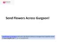 Send Flowers To Gurgaon PowerPoint PPT Presentation