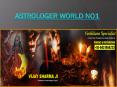 Astrologer World No1 - +91-8427464222 PowerPoint PPT Presentation