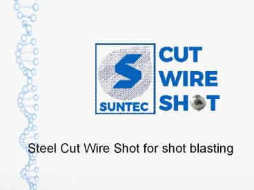Steel Cut Wire Shot for shot blasting (1)