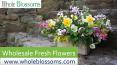 Wholesale Fresh Flowers - www.wholeblossoms.com PowerPoint PPT Presentation
