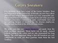 Gators Sneakers PowerPoint PPT Presentation