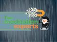 Focal points of Getting a Meditation Expert (1) PowerPoint PPT Presentation