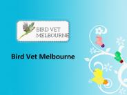 Bird Anaesthesia Melbourne - Birdvetmelbourne