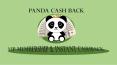 Panda Cash Back : VIP Membership & Instant CashBack PowerPoint PPT Presentation