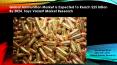Ammunition Market is estimated to reach $25 Billion by 2024 with CAGR of 6.0% between 2016 and 2024 (1) PowerPoint PPT Presentation