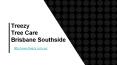Brisbane Southside Tree Care Services (1) PowerPoint PPT Presentation
