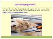 Top Quality Dog ID
