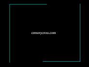 Florida workman's compensation insurance