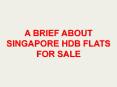 A Brief About Singapore HDB Flats For Sale.output PowerPoint PPT Presentation