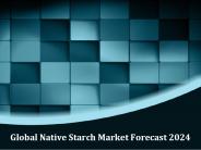 Global Native Starch Market Forecast 2024