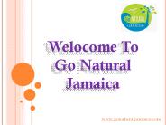 Weight Loss Retreat In Jamaica