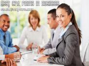 Best CPA Firms in Business