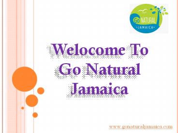 Jamaica Affordable Detox Retreat