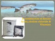 Aquaculture feed supplement
