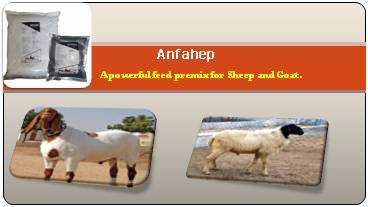 Feed Additives in India