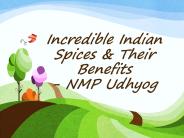 Incredible Indian Spices & Their Benefits - NMP Udhyog