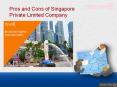 Pros and Cons of Singapore Private Limited Company PowerPoint PPT Presentation