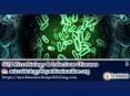 Journal of Microbiology & Infectious Diseases - Volume 5 - Issue 4 – 2017 PowerPoint PPT Presentation