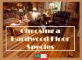 Choosing a Hardwood Floor Species (1) PowerPoint PPT Presentation