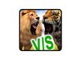 Lion Vs Tiger 2 Wild Adventure PowerPoint PPT Presentation