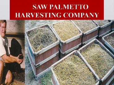 Best Natural Formula to Treat Enlarge Prostate