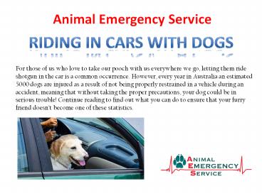 Pet Emergency & Specialists Centre