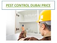 Best Pest Control Company In Dubai