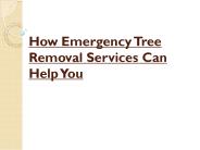 How Emergency Tree Removal Services Can Help You
