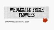 Wholesale Fresh Flowers - www.wholeblossoms.com (2)