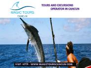 Cancun Tour Company