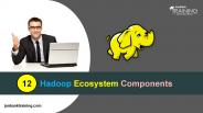 Learn Top 12 Hadoop Ecosystem Components