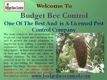 Pest Control Company Houston | Budget Bee Control