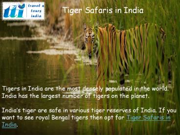 Tiger Safaris in India