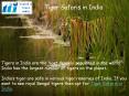 Tiger Safaris in India PowerPoint PPT Presentation