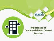 Importance of Commercial Pest Control Services