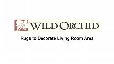 Rugs to Decorate Living Room Area