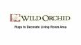 Rugs to Decorate Living Room Area PowerPoint PPT Presentation