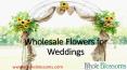 Wholesale Flowers for Weddings - www.wholeblossoms.com (2) PowerPoint PPT Presentation
